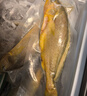 鮮京采冷凍三去黃花魚(yú)(寧德大黃魚(yú))1700g(5條裝)禮盒 曬單實(shí)拍圖