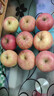 甜醉了 煙臺蘋(píng)果棲霞紅富士新鮮水果生鮮山東特產(chǎn)脆甜整箱平果禮盒禮品 凈重5斤 85mm 曬單實(shí)拍圖