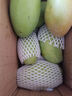 甜萌果蔬金煌芒芒果【多地次日達】當季現摘海南大芒果新鮮水果青芒果整箱 5斤精選果【單果280g+】?jì)?.5斤 曬單實(shí)拍圖