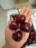 少羽車(chē)厘子櫻桃【順豐/JD-多地次日達】大連美早大櫻桃新鮮水果送禮物 2斤(凈重) 【特惠裝暢吃】 品質(zhì)大果 J 26-28mm【新鮮上市】 曬單實(shí)拍圖
