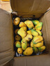海南小臺甜心芒果臺農芒應季熱帶時(shí)令芒果水果整箱送禮 小臺芒凈重8.5-9斤單果100g+ 曬單實(shí)拍圖