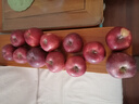 京鮮生 天水花牛蘋(píng)果 凈重4.5斤 單果170g+ 生鮮水果源頭直發(fā) 曬單實(shí)拍圖