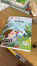 昆蟲(chóng)記注音版 法布爾著(zhù)作 兒童文學(xué) 一二三年級課外閱讀書(shū)必讀世界經(jīng)典文學(xué)少兒名著(zhù)童話(huà)故事書(shū) 大語(yǔ)文系列 小學(xué)語(yǔ)文課外閱讀經(jīng)典叢書(shū) 曬單實(shí)拍圖