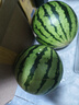 【東東農場(chǎng)專(zhuān)供】廣西現摘超甜西瓜應季批發(fā)整箱有籽新鮮水果 黑美人帶箱5-7斤凈重5斤+ 曬單實(shí)拍圖