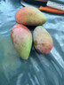 趣嘗鮮海南貴妃芒 凈重8斤 單果120-200g 即食芒果 新鮮水果 源頭直發(fā) 曬單實(shí)拍圖