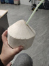 佳農泰國進(jìn)口椰青 6粒單果約800g 贈開(kāi)椰器吸管新鮮水果源頭直發(fā) 曬單實(shí)拍圖