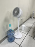 美的（Midea）【暴風(fēng)循環(huán)】空氣循環(huán)扇大風(fēng)量搖頭電風(fēng)扇家用臺式落地扇輕音臥室節能小風(fēng)扇柔風(fēng)輕羽扇 FGA24TQ 曬單實(shí)拍圖