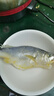 黃小漁寧德三去黃花魚(yú)600g/4條大黃魚(yú)生鮮海鮮水產(chǎn)深海魚(yú)類(lèi)清蒸燒烤 曬單實(shí)拍圖