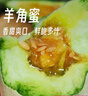 京鮮生山東羊角蜜甜瓜 凈重3斤 單果300g+ 水果源頭直發(fā)包郵 曬單實(shí)拍圖