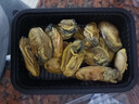 北海印象金蠔干大號250g約20粒 牡蠣干蠔干香煎煲湯煮粥火鍋食材 北海特產(chǎn) 曬單實(shí)拍圖