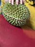 【進(jìn)口泰國金枕】金枕榴蓮新鮮果肉飽滿(mǎn)新鮮生鮮香甜軟糯包郵直達 香甜金枕凈重3-4斤(單果)保三房 曬單實(shí)拍圖