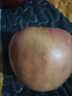 新疆阿克蘇冰糖心蘋(píng)果整箱脆甜多汁紅富士蘋(píng)果新鮮水果 【帶箱9斤凈重8斤】70-80mm【實(shí)惠爽口】 曬單實(shí)拍圖