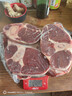 沃典阿根廷原切帶骨牛腱子凈重4斤 牛肉生鮮帶牛骨髓燉煮食材源頭直發(fā) 曬單實(shí)拍圖