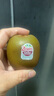 佳沛（zespri）新西蘭 新果季海運 紅奇異果 12粒 單果80-88g 獼猴桃 曬單實(shí)拍圖