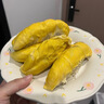 趣嘗鮮貓山王榴蓮馬來(lái)西亞D197液氮冷凍凈重5.0-5.5斤/個(gè) 保5房 曬單實(shí)拍圖
