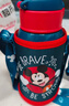 迪士尼（Disney）保溫杯兒童水杯水壺學(xué)生316L不銹鋼吸管直飲杯套禮盒幼兒園650m 曬單實(shí)拍圖