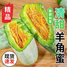 洮小嬋山東羊角蜜甜瓜 新鮮當季應季時(shí)令水果 脆甜蜜瓜香瓜整箱 帶箱5斤 單果300g+ 凈重4.5斤 曬單實(shí)拍圖