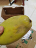 余悅海南金煌芒【多地次日達】新鮮水仙芒果青皮甜心芒果年貨禮盒送禮 帶箱5斤裝【單果300-450g/凈4.5斤】商超品質(zhì) 曬單實(shí)拍圖