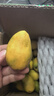 琪江果正宗海南小臺農芒果 熱帶當季新鮮水果整箱 小臺芒凈重4.5斤單果50g+ 曬單實(shí)拍圖
