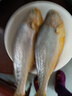 冰鮮 黃花魚(yú)200-300g/條 曬單實(shí)拍圖