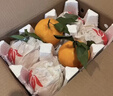 京鮮生 四川春見(jiàn)耙耙柑 凈重8.5-9斤水果禮盒 單果170g+ 源頭直發(fā)包郵 曬單實(shí)拍圖