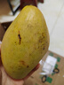 余悅海南金煌芒【多地次日達】新鮮水仙芒果青皮甜心芒果年貨禮盒送禮 帶箱5斤裝【單果300-450g/凈4.5斤】商超品質(zhì) 曬單實(shí)拍圖