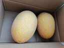 京鮮生 海南黃金哈密瓜 1粒裝 單果3斤起  生鮮水果   曬單實(shí)拍圖