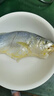 黃小漁寧德三去黃花魚(yú)600g/4條大黃魚(yú)生鮮海鮮水產(chǎn)深海魚(yú)類(lèi)清蒸燒烤 曬單實(shí)拍圖