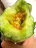 京鮮生山東頭茬羊角蜜甜瓜 單果300g起 凈重3斤 水果源頭直發(fā)包郵 曬單實(shí)拍圖