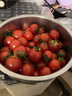 廣西露天圣女果櫻桃小番茄即食水果西紅柿新鮮蔬菜應季整箱批發(fā)價(jià) 帶箱5斤 4.5斤 凈重 曬單實(shí)拍圖