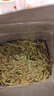 京東京造鮮來(lái)多 26新茶明前特級龍井100g老茶樹(shù)綠茶葉自己喝送禮傳統黃版 曬單實(shí)拍圖