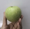 京鮮生山東王林蘋(píng)果 凈重4.2斤 單果190g+ 新鮮時(shí)令水果 源頭直發(fā) 曬單實(shí)拍圖