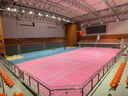 籃球場(chǎng)專(zhuān)用木地板室內籃球館羽毛球舞蹈室楓樺木實(shí)木體育運動(dòng)地板 定制聯(lián)系客服 曬單實(shí)拍圖