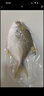 翔泰冷凍海南金鯧魚(yú)700g（2條） 曬單實(shí)拍圖