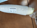 白蘿卜約1kg 曬單實(shí)拍圖