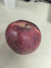 京鮮生 天水花牛蘋(píng)果 凈重4.5斤 單果170g+ 生鮮水果源頭直發(fā) 曬單實(shí)拍圖