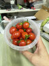廣西新鮮紅圣女果小番茄蔬菜沙拉水果超市買(mǎi)菜整箱快遞包郵 精選新鮮（單果8g+） 4.5斤 凈重 泡沫箱裝 曬單實(shí)拍圖