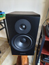 丹拿（DYNAUDIO） 新意境New Emit 20 HiFi無源高保真書架音響功放套裝發燒音箱 New Emit 20胡桃木 曬單實拍圖