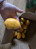 海南小臺甜心芒果臺農芒應季熱帶時(shí)令芒果水果整箱送禮 小臺芒凈重4.5-5斤單果80g+ 曬單實(shí)拍圖