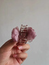 法式唯美網(wǎng)紗花朵半扎發(fā)小抓夾2026新款精致發(fā)量少發(fā)夾甜美頭飾夏 煙粉色玫瑰小抓夾【約4.5cm】 曬單實拍圖