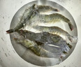 鮮活大海白蝦300g（約12-18只） 曬單實(shí)拍圖
