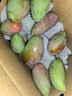 京鮮生 海南貴妃芒果 凈重4.5斤 單果100g+ 新鮮水果 源頭直發(fā) 曬單實(shí)拍圖