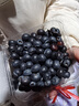 山姆大叔云南花香藍莓王6盒禮盒裝【中通JD順豐速運-多地隔日達】水果禮盒 7A級甄選果【單果15mm+】 125g*4盒【巨劃算-80%人選】?jì)?00g 曬單實(shí)拍圖
