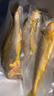鮮京采冷凍三去黃花魚(yú)(寧德大黃魚(yú))1700g(5條裝)禮盒 曬單實(shí)拍圖