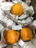 旭霽耙耙柑正宗四川春見(jiàn)耙耙柑丑橘新鮮水果孕婦甜桔橘子年貨節 5斤精選果 凈重4.5斤【熱銷(xiāo)爆賣(mài)】 曬單實(shí)拍圖