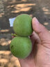 彩荷文玩核桃賭青皮麻核桃四座樓獅子頭悶墩磨盤把件七夕禮物 公子帽(54-55mm一對(duì)) 曬單實(shí)拍圖