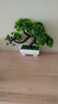 花藝赫  仿真迎客松植物盆栽室內(nèi)綠植小盆景擺件桌面假花擺設(shè)家居裝飾品擺件 雙層綠松 曬單實(shí)拍圖