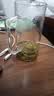 明尊（LIGHTKING）茶杯 玻璃水杯帶把手 男女辦公室泡茶杯加厚耐熱玻璃杯子 CP'40【480ml】單只裝 曬單實拍圖