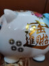 悅匯禮屋 存錢(qián)罐 創(chuàng  )意兒童陶瓷豬儲蓄罐成人大號只進(jìn)不出可存取大容量可愛(ài) 可存可取中號藍色可存1萬(wàn)紙幣 曬單實(shí)拍圖