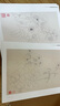 章培筠白描花鳥作品/中國美術(shù)學(xué)院中國畫系藏品集 曬單實拍圖